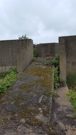 Gun Site